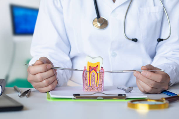 Best Orthodontic Emergency Dentist in Centralia, IL